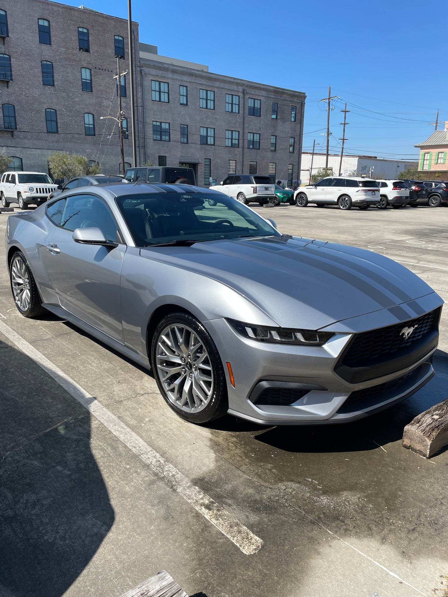 D2Y Tire Shine