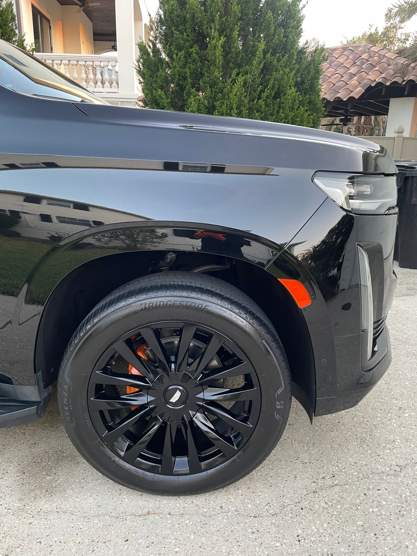 D2Y Tire Shine